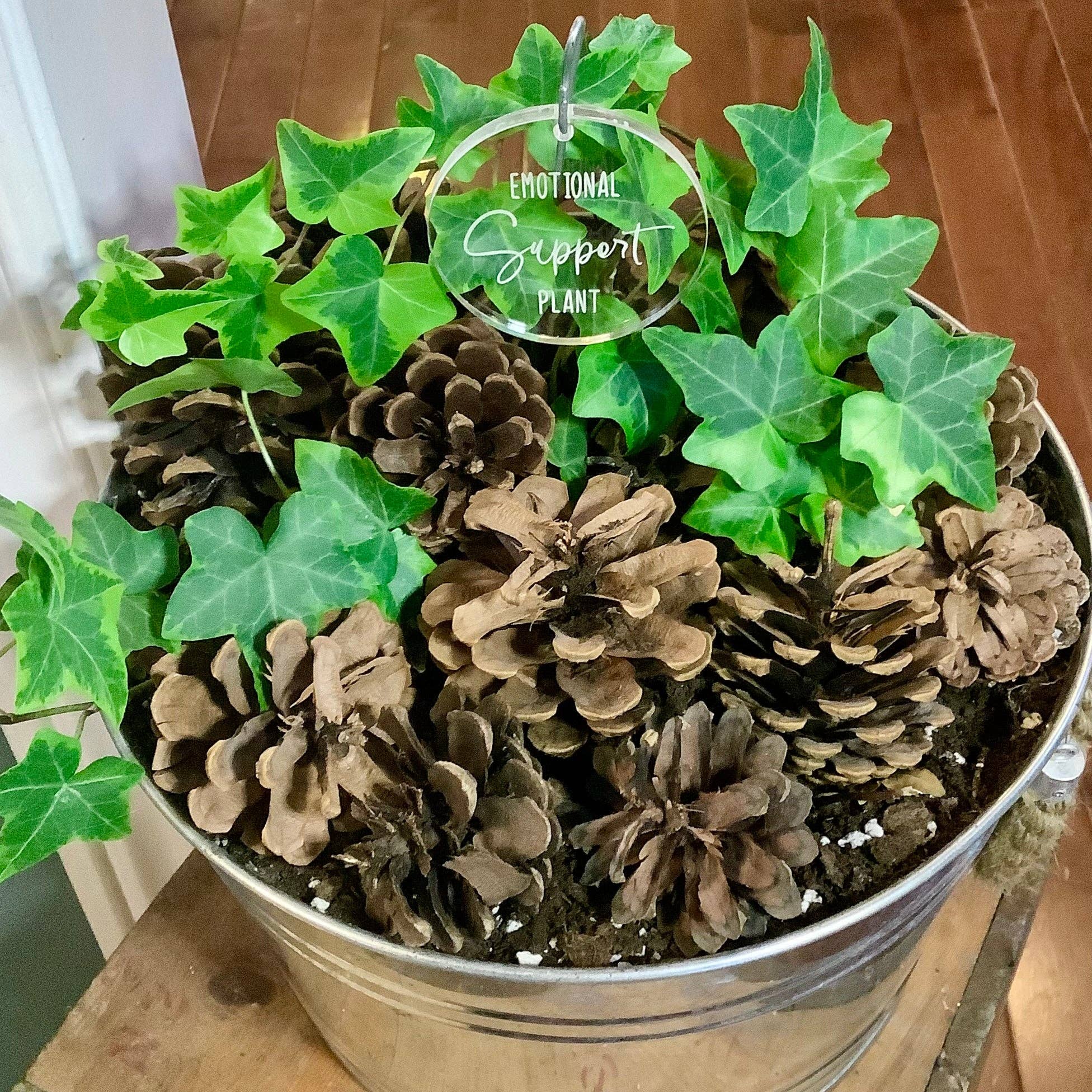 Crawford Custom Engraving - Wholesale Garden/Lawn Stake - Plant and Garden Markers, Plant Puns, Funny Plant Markers10