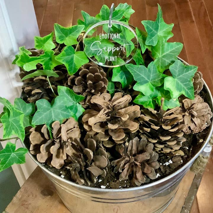 Crawford Custom Engraving - Wholesale Garden/Lawn Stake - Plant and Garden Markers, Plant Puns, Funny Plant Markers10