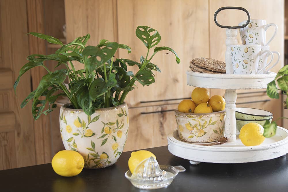 Clayre & Eef – wholesale Plant pot – 6CE1531S Planter 18x7x7 cm Yellow Ceramic Lemon Indoor1