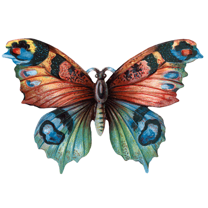 Laughing Elephant – Großhandel Aufkleber – Butterfly Box — Stickerbox für den täglichen Gebrauch22