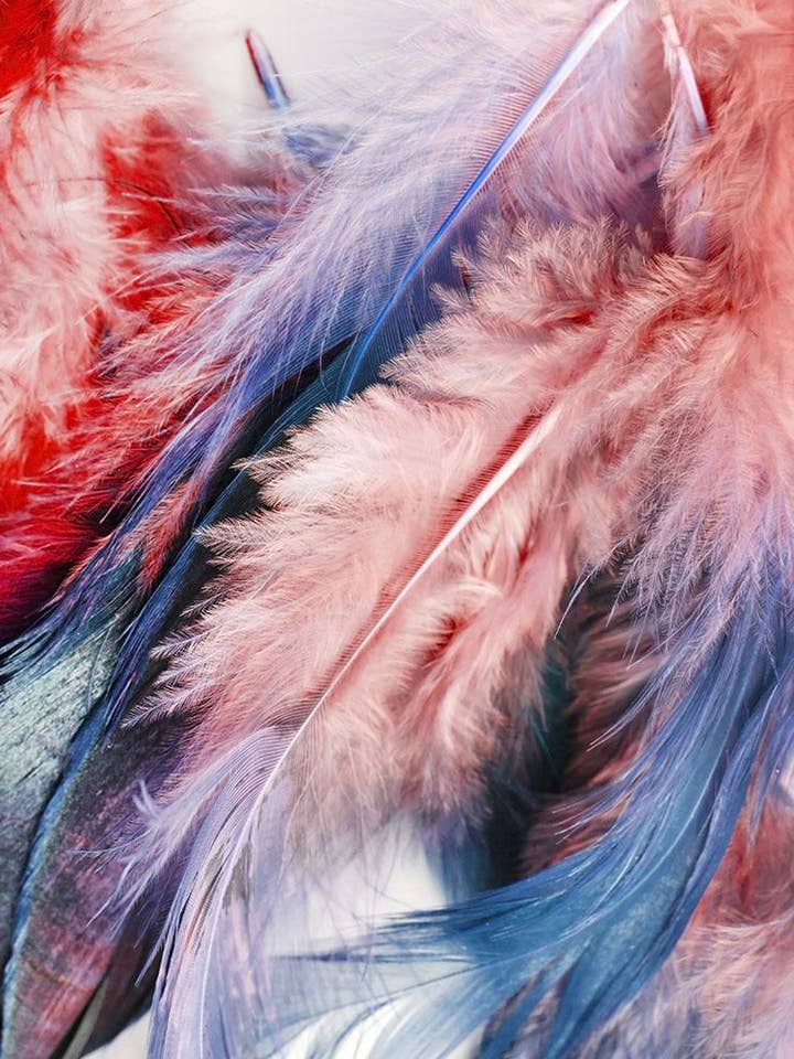 Grand Schal 100% Seidensatin 57259 Var Rot für den Großhandel von tessago