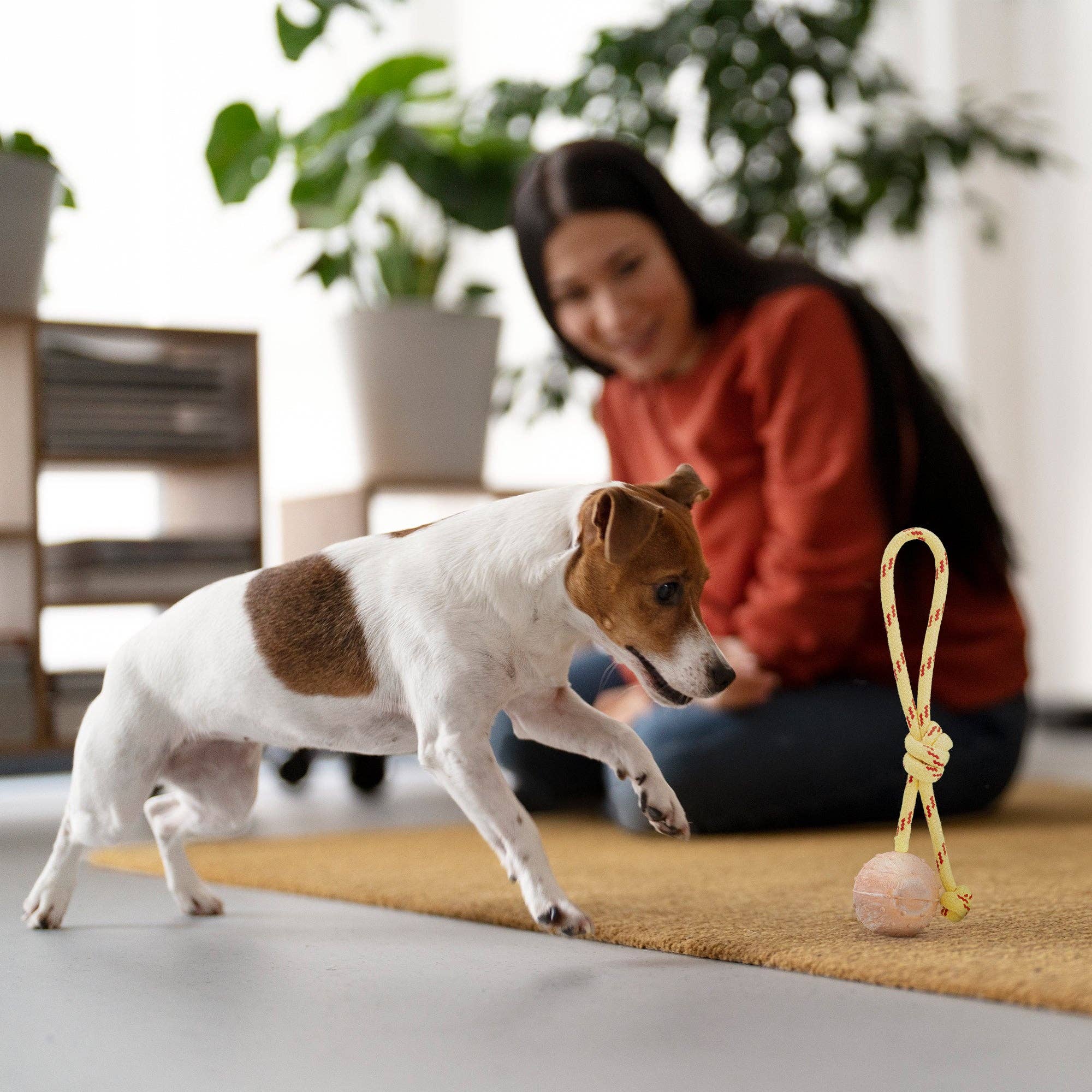 Dogline – wholesale Repleksak - Hund – FDT Gummihundboll på rep, liten - diameter 2" (5 cm)6