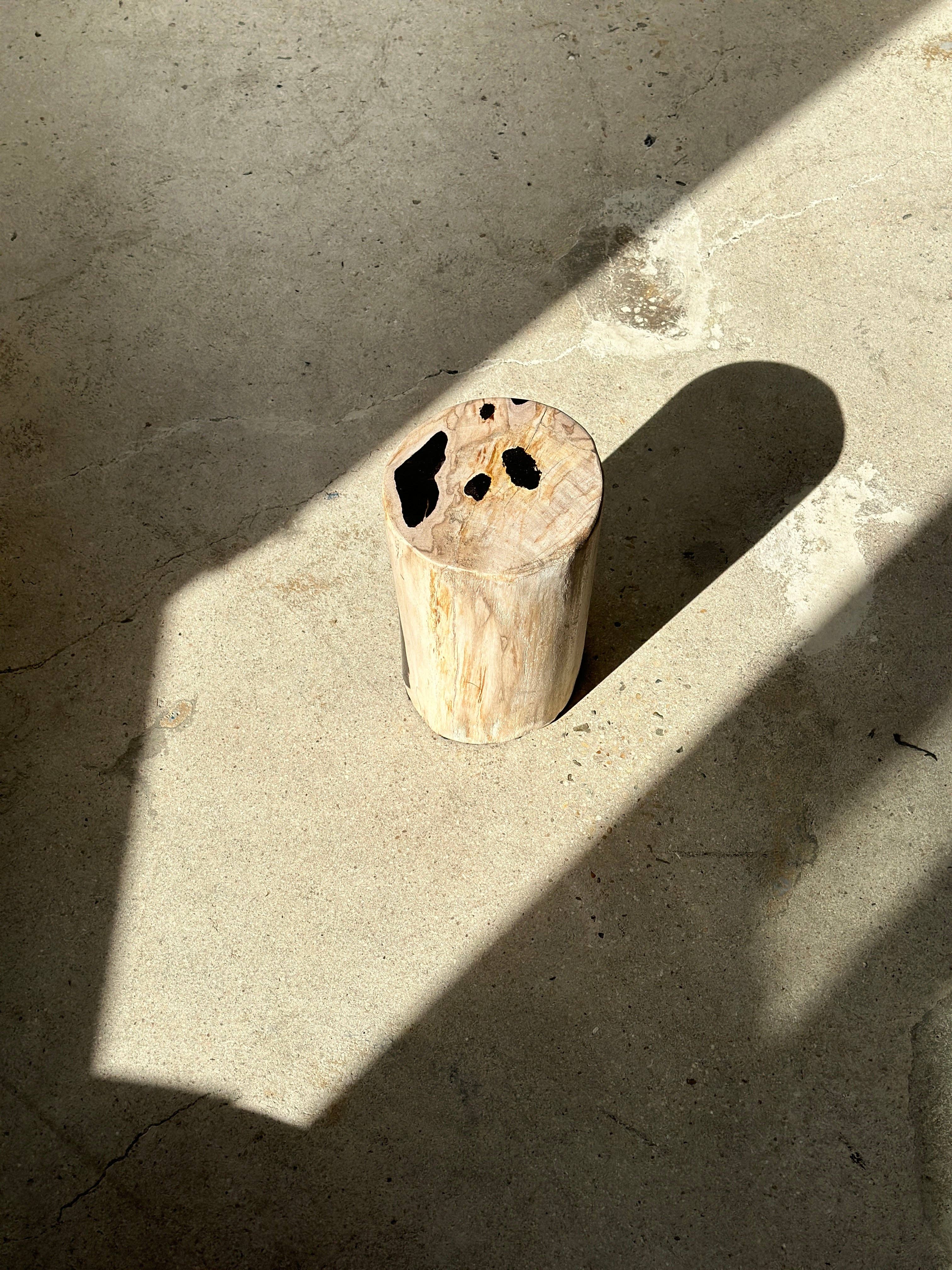 Office Objets - Wholesale Side Table - White petrified wood side table with black spots H:27.5 D:1821