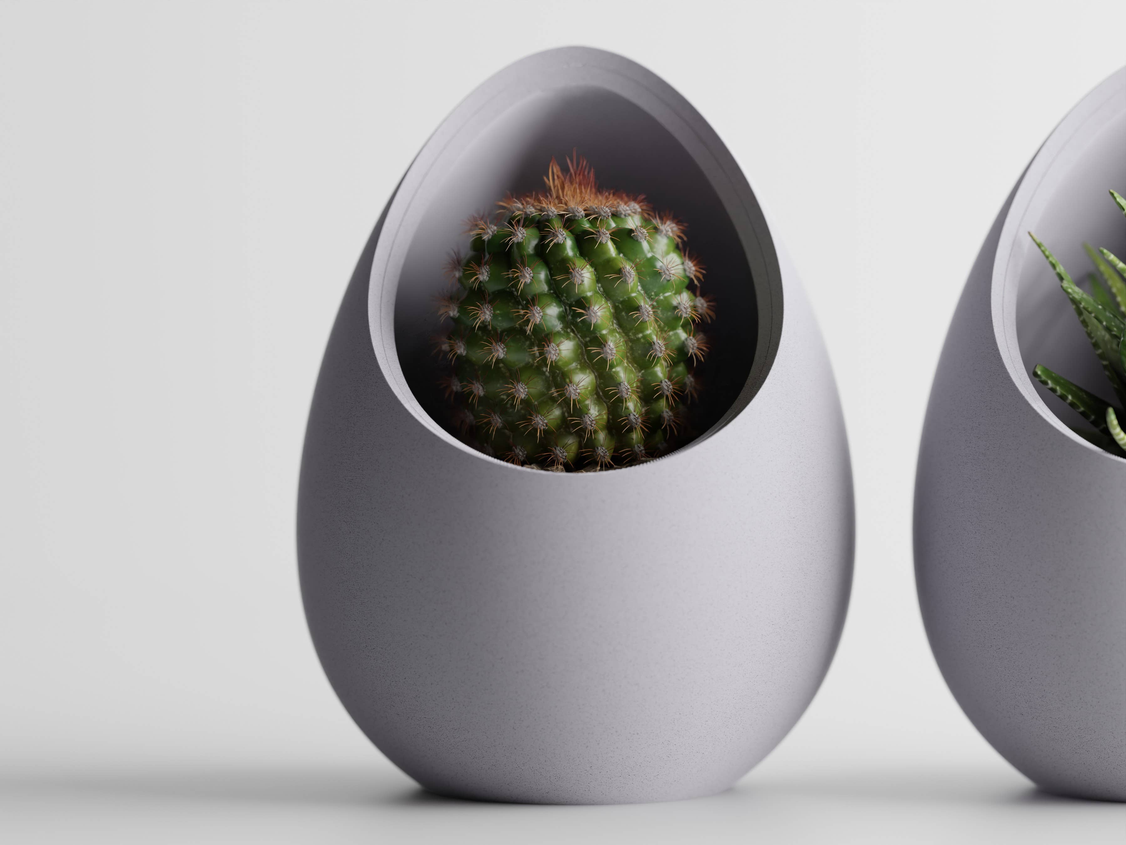 The Butler's Company - Wholesale Plant Pot - Succulent Plant Pot Egg Shape | Elegant Evergreen Container 5