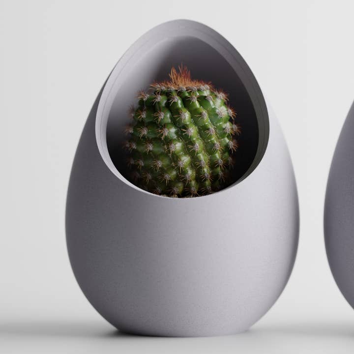 The Butler's Company - Wholesale Plant Pot - Succulent Plant Pot Egg Shape | Elegant Evergreen Container 5