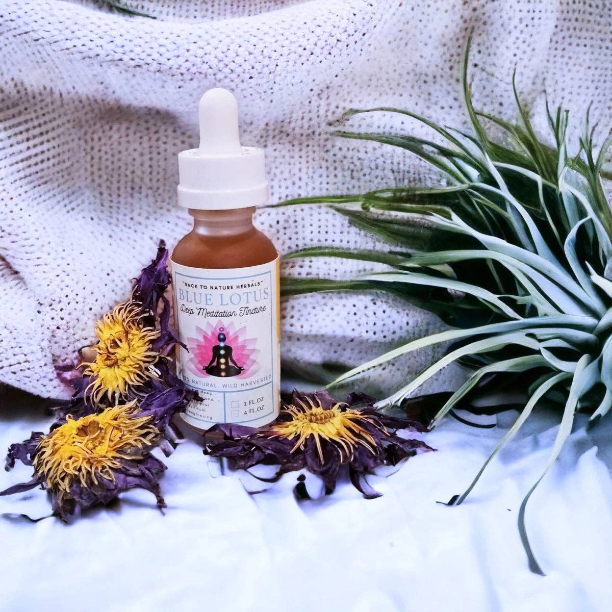 Back2Nature Herbals - Wholesale Tincture - Organic Blue Lotus Tincture1