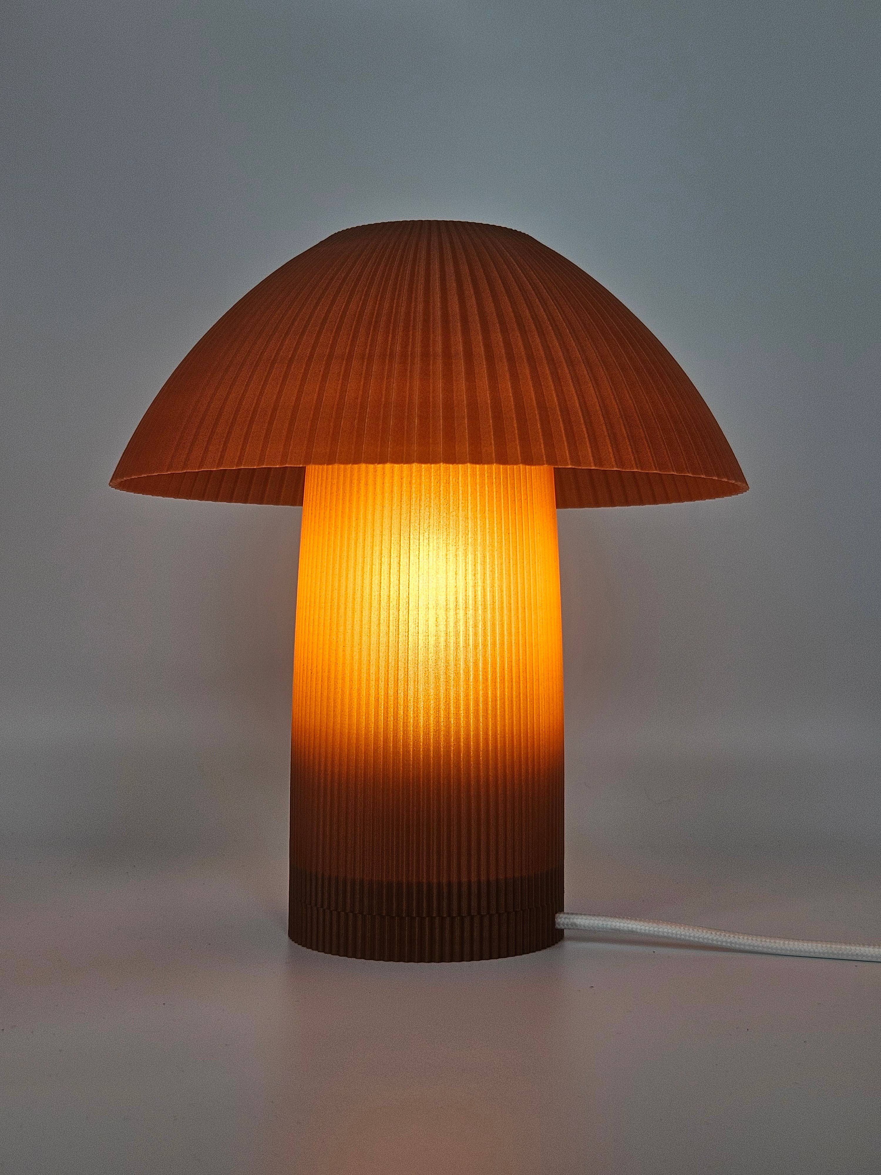 Coast Fig - Wholesale Accent/Desk Lamp - Natural Shroom Table Lamp (made from Brick dust)2