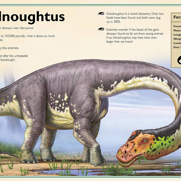 Insight Editions - #1 Pop Culture Publisher - Wholesale Reference Book - The Magnificent Book of Dinosaurs7