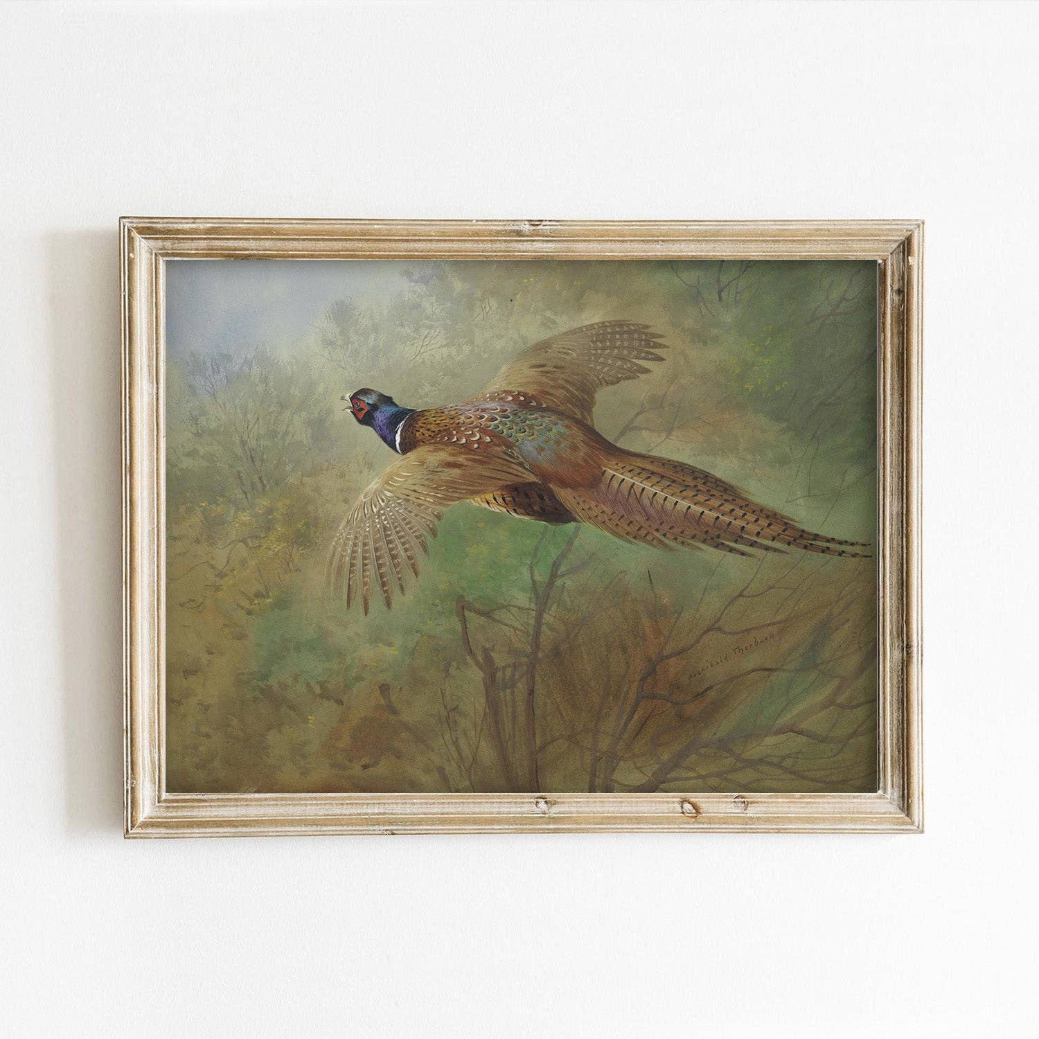 Paper House Print Shop - Wholesale Art Print - Flying Pheasant Thanksgiving Autumn Art Print1