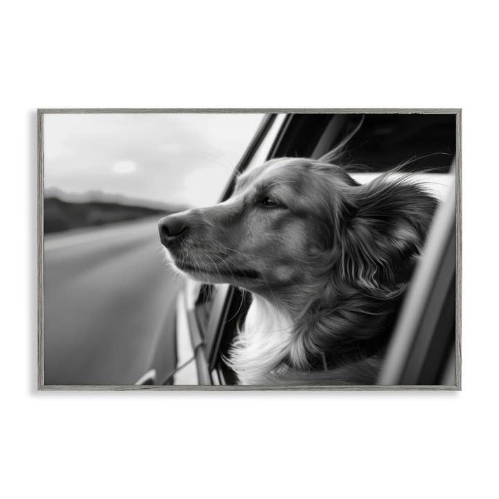 Stupell Industries - Wholesale Wall Sign - Dog Out Car Window - Framed Wall Art20