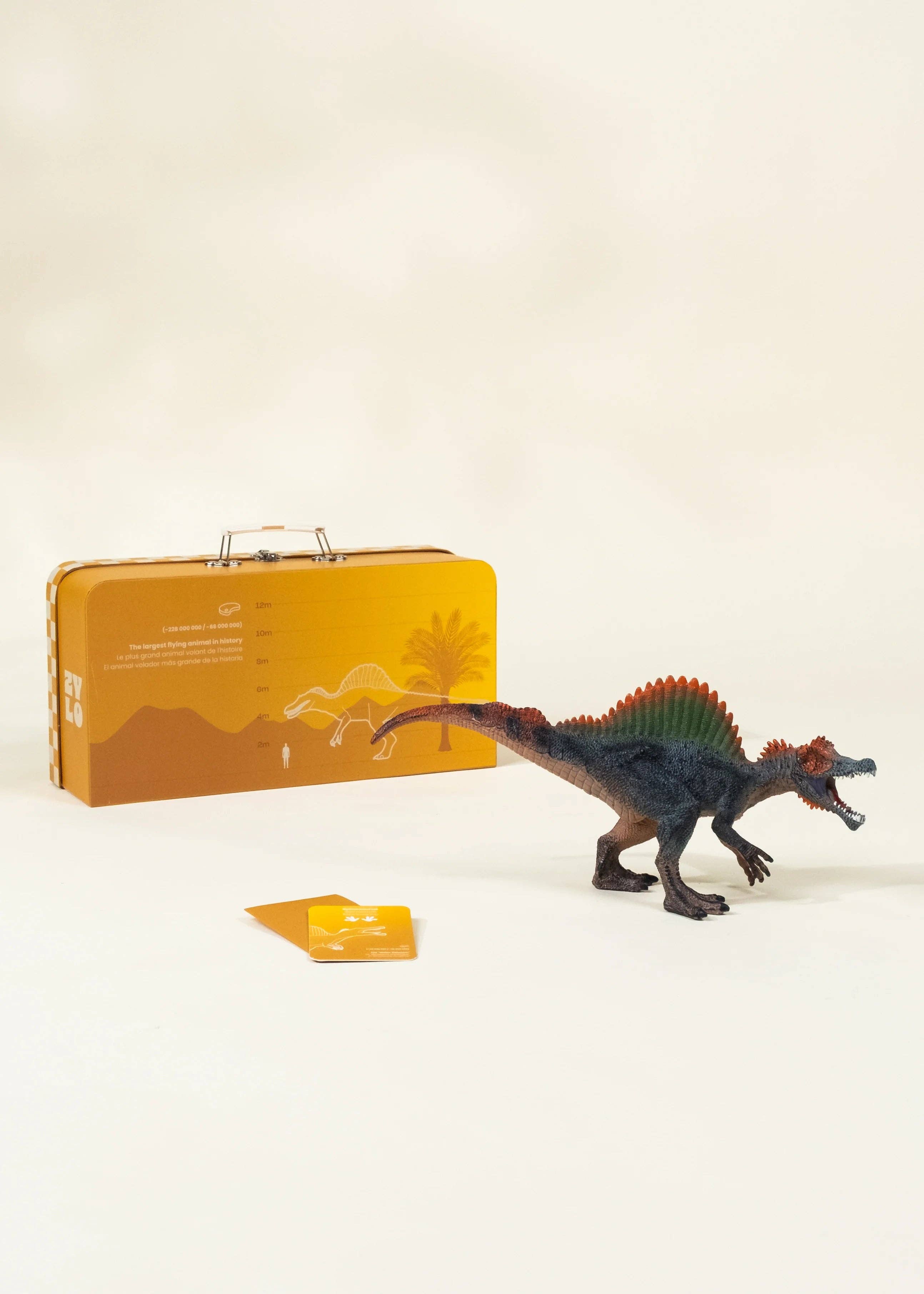 Coco Village - Wholesale Toy Set - Kids - Spinosaurus Dinosaur in a Collectible Box4