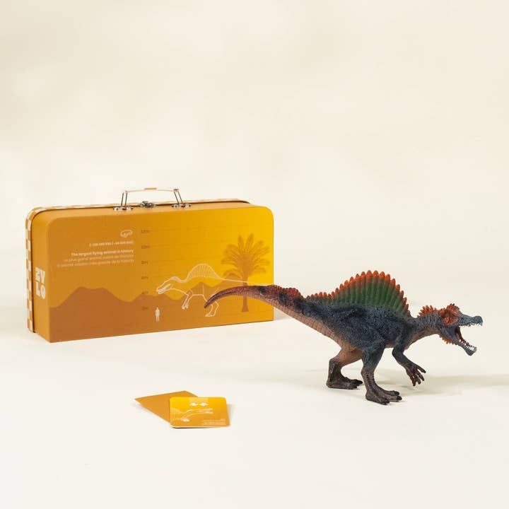 Coco Village - Wholesale Toy Set - Kids - Spinosaurus Dinosaur in a Collectible Box4