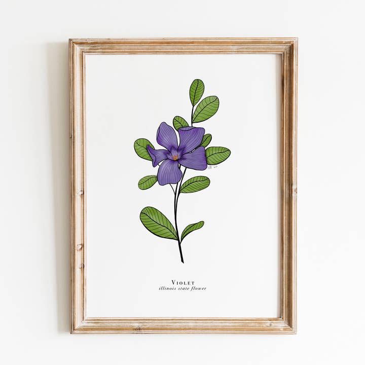 Stampa floreale dello stato dell'Illinois | Stampa floreale viola per la vendita all'ingrosso da parte di Erika Layne Art