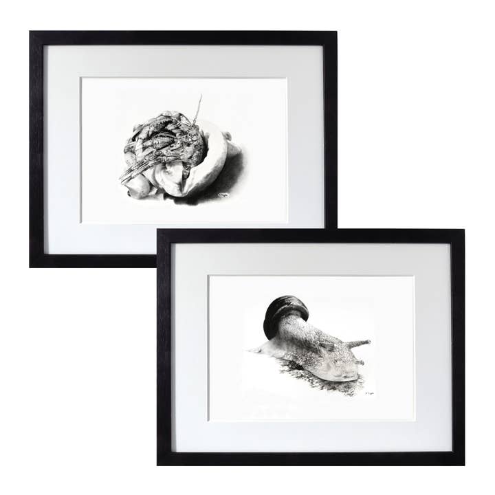 Snail and Hermit Crab Original Charcoal Pencil Art for wholesale by Drawing In Dark