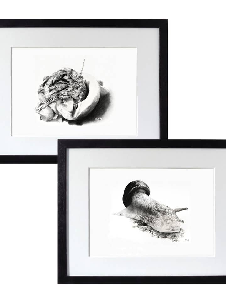 Snail and Hermit Crab Original Charcoal Pencil Art for wholesale by Drawing In Dark