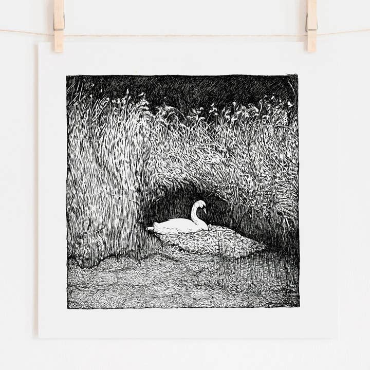 Imprimé Swan Art - Noir et Blanc pour la vente par Drawn Together Art Collective