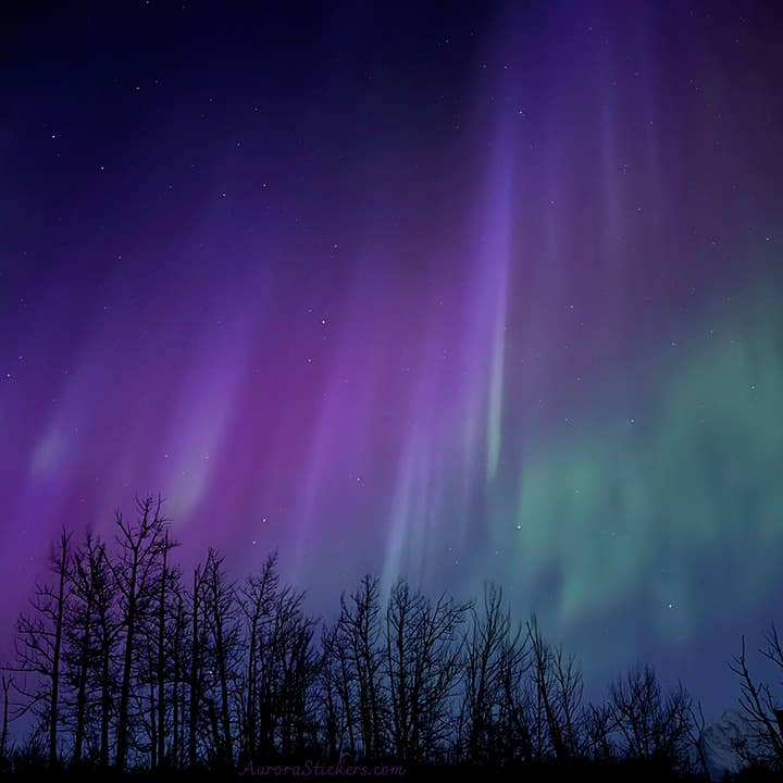 Impresiones de 5" x 7" de la Aurora Boreal - Luces Lila (juego de 10 impresiones) para venta al por mayor de Aurora Stickers