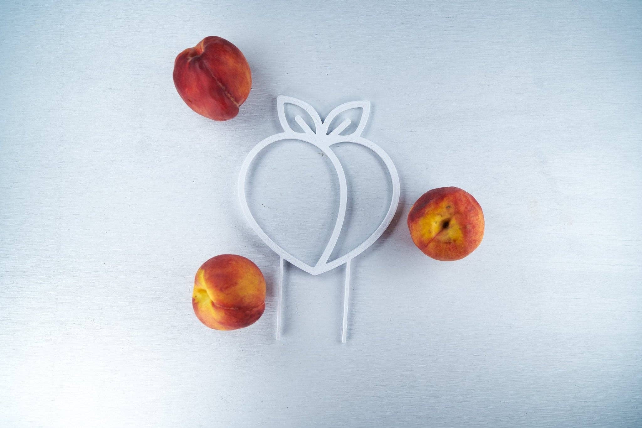 Rosebud Homegoods - Wholesale Trellis - Peach Plant Trellis for Vining Plants6