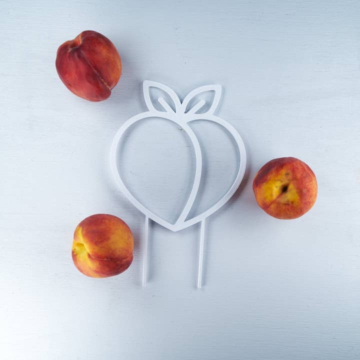 Rosebud Homegoods - Vente Treillis - Tuteur pour plantes grimpantes de pêcher6