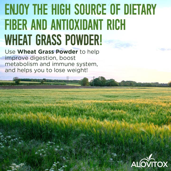 Alovitox – wholesale Powdered health drink – Certified Organic Wheat Grass Juice Powder