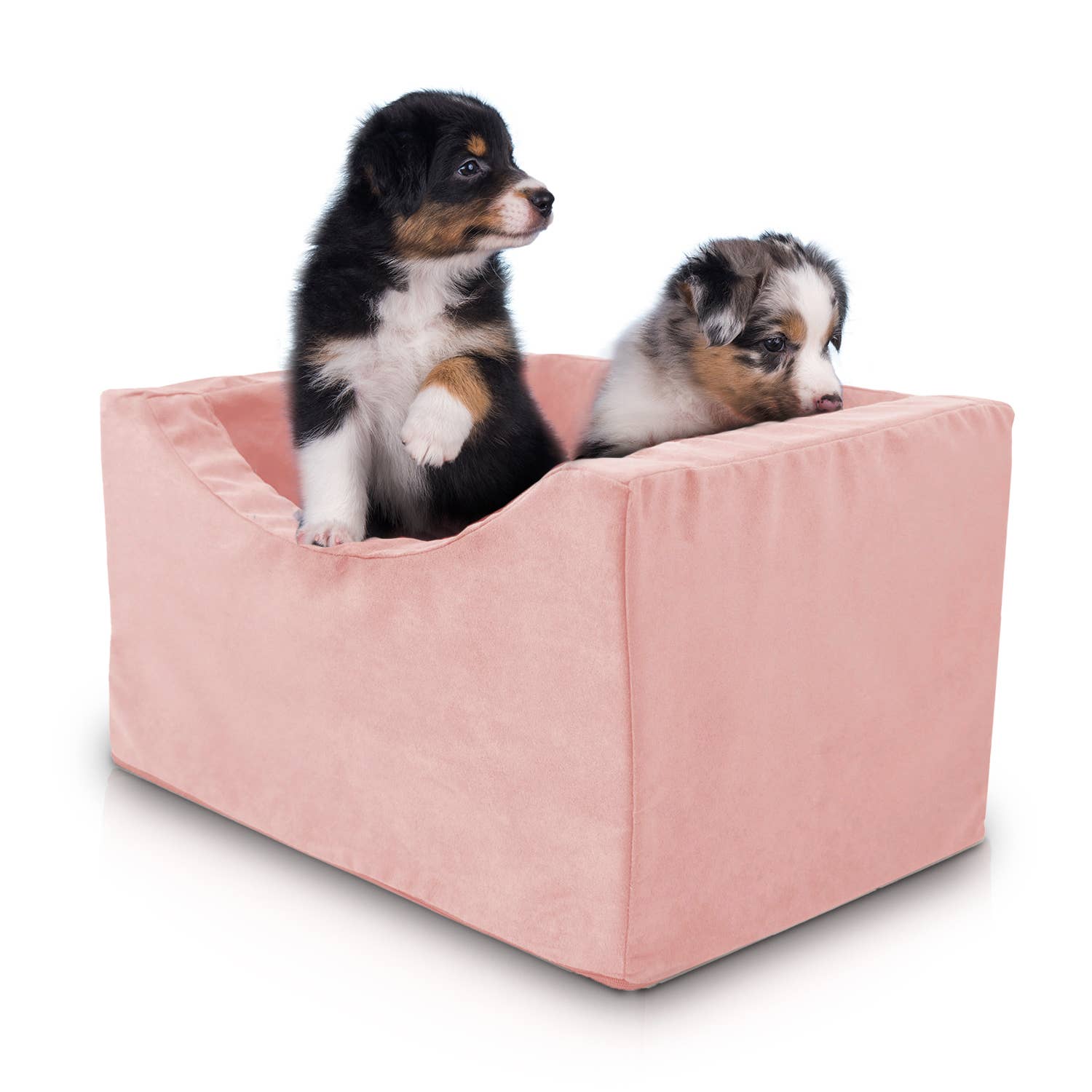 Precious Tails - Wholesale Pet Carrier - Cat/Dog - Precious Tails High Density Foam Pet Booster Seat5