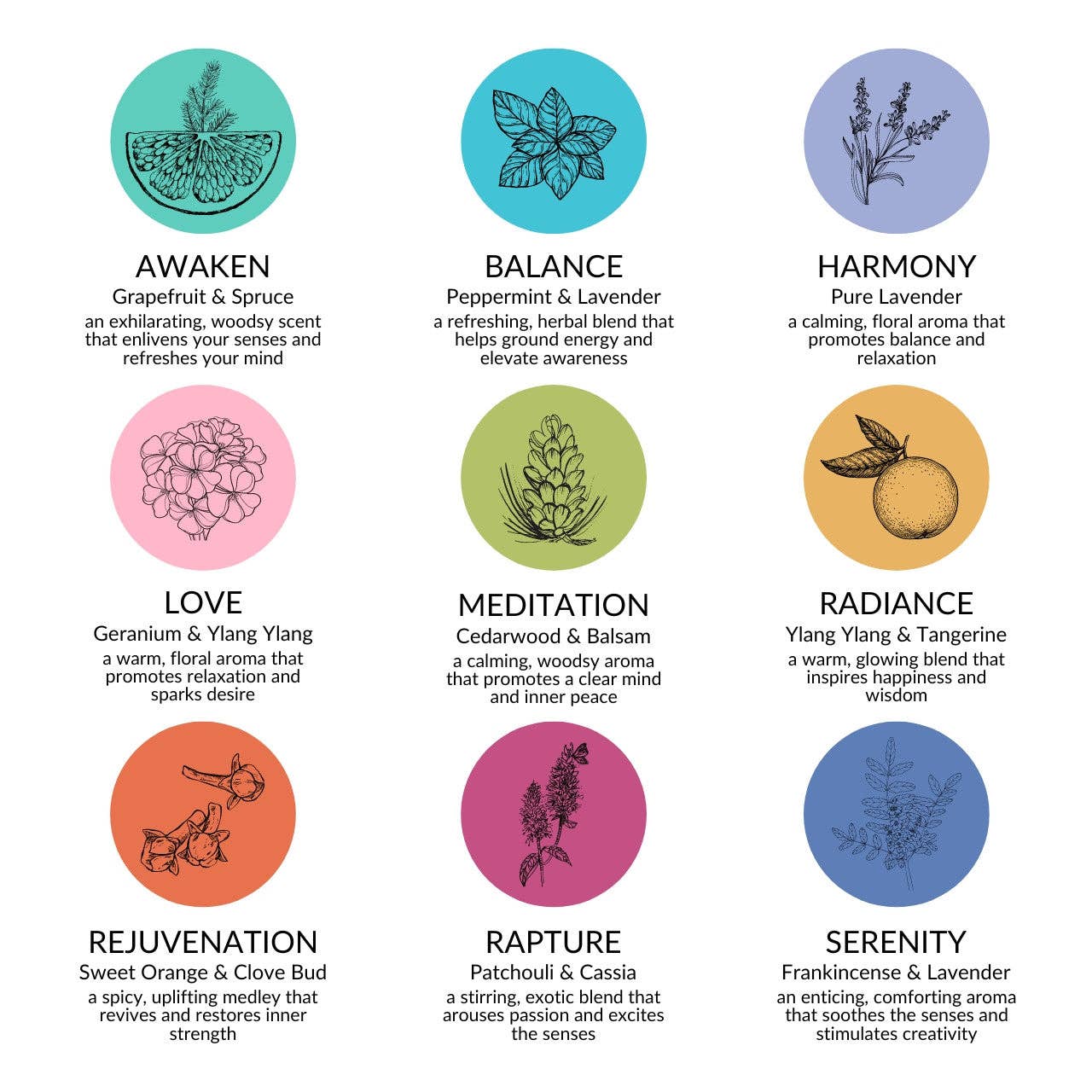 Big Dipper Wax Works - Vente Bougies piliers - Recharges de bougies – Aromathérapie à la cire d'abeille – Verre Sanctuaire3