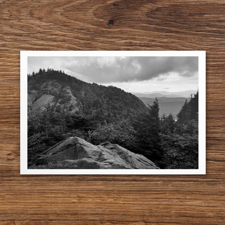 Photographie de paysage forestier, carte postale standard, cartes postales en noir et blanc pour la vente par VIBELINK
