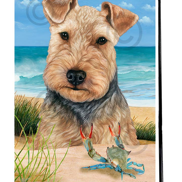 Pet Gifts USA, LLC – wholesale Flagga – Welsh Terrier Blå & Tan Sommar Strand Trädgård Flagga