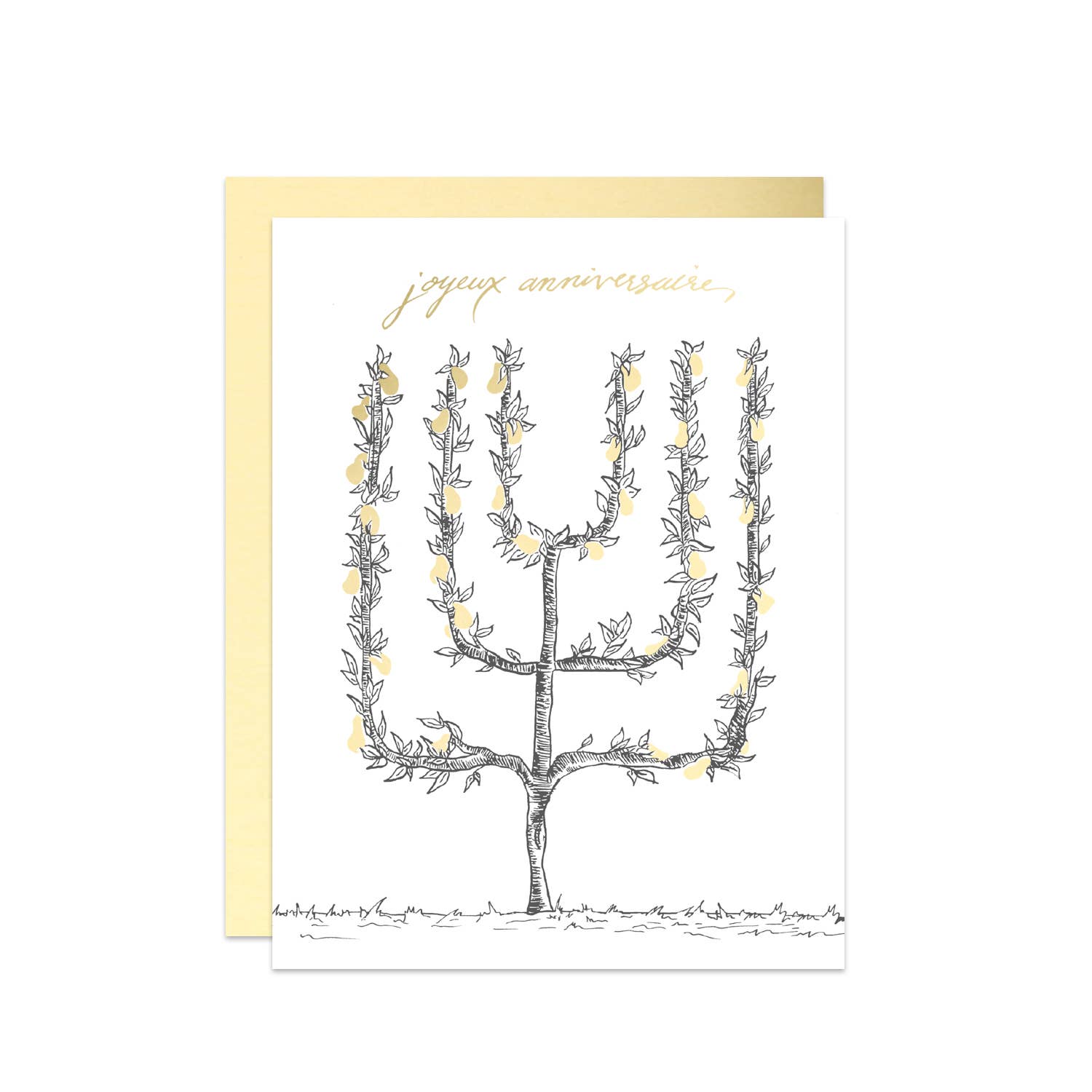 Dreamers Supply Co. – Großhandel Geburtstagskarten – Französische Espalier Happy Birthday Karte