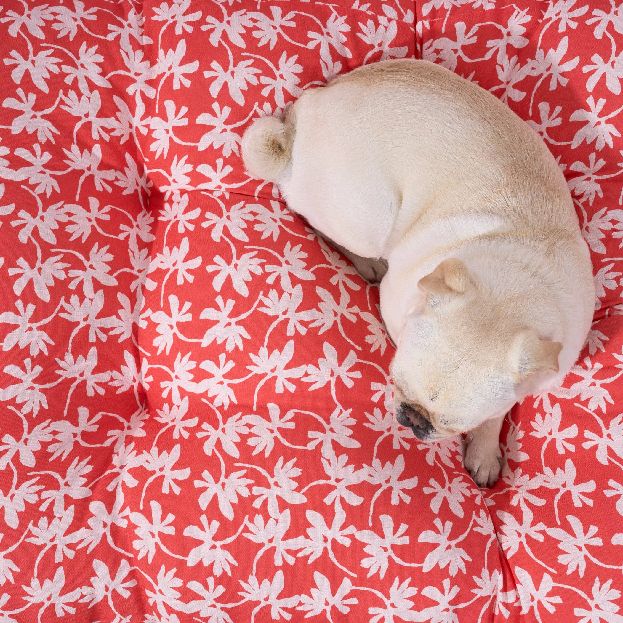 SG HOGAR - Venta al por mayor Cama - Perros - Cama de mascota 100% algodón antimanchas Halton 253