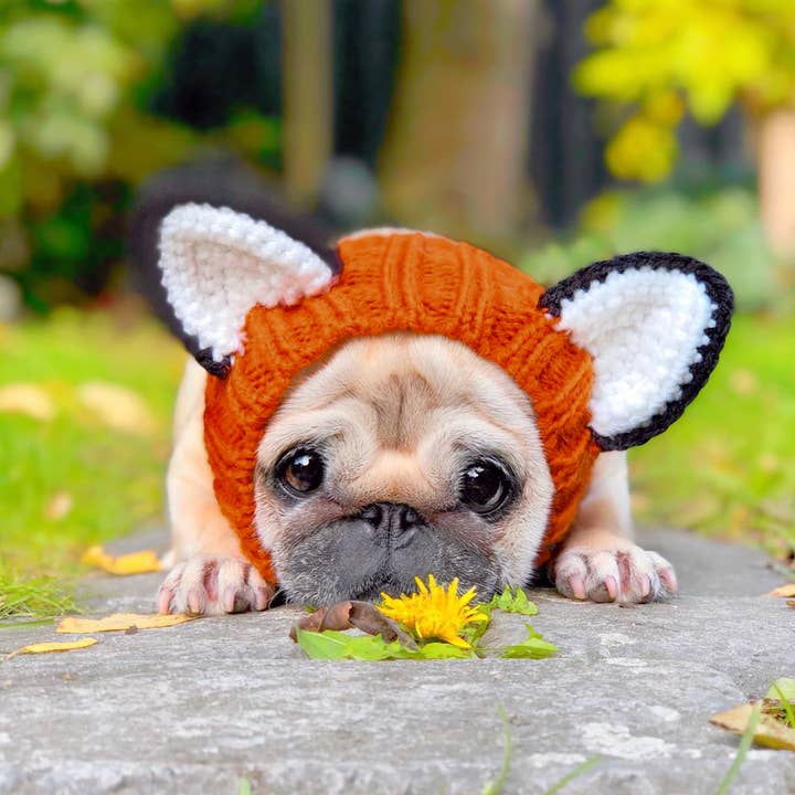 Zoo Snoods – wholesale Pet snood – Dog – Fox Dog Snood8