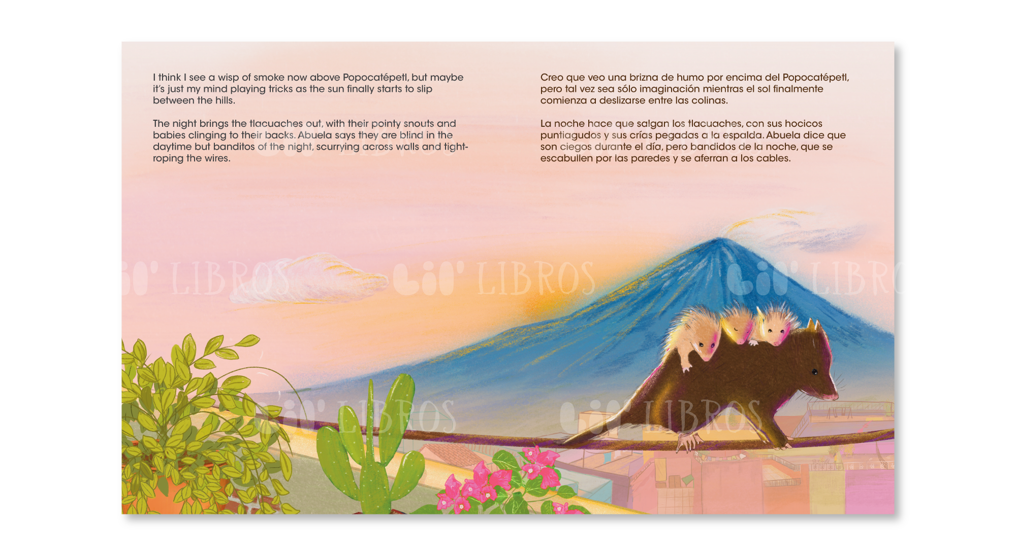 Lil' Libros ~ Bilingual Children's Books & Games - Wholesale Preschool Book (3-5) - La azotea de mi abuela (Bilingual: English and Spanish)2