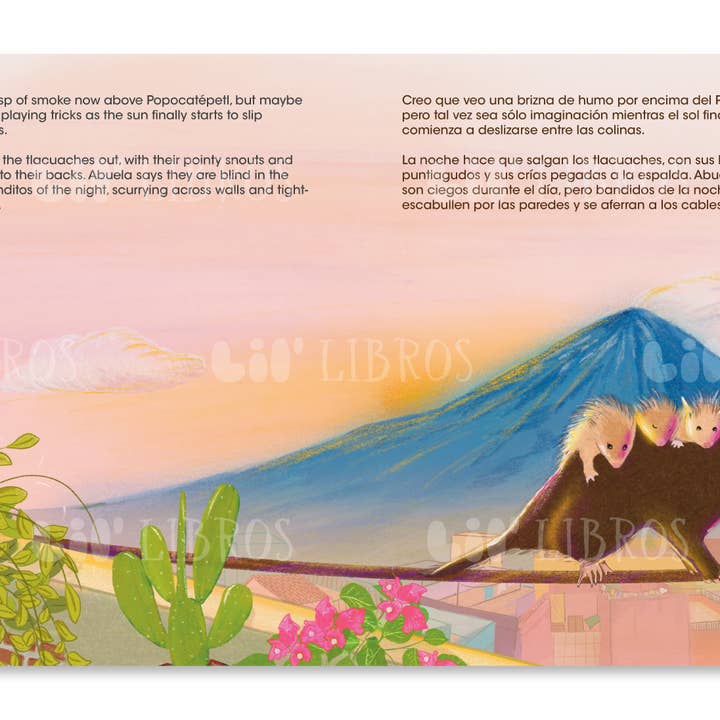 Lil' Libros ~ Bilingual Children's Books & Games - Wholesale Preschool Book (3-5) - La azotea de mi abuela (Bilingual: English and Spanish)2