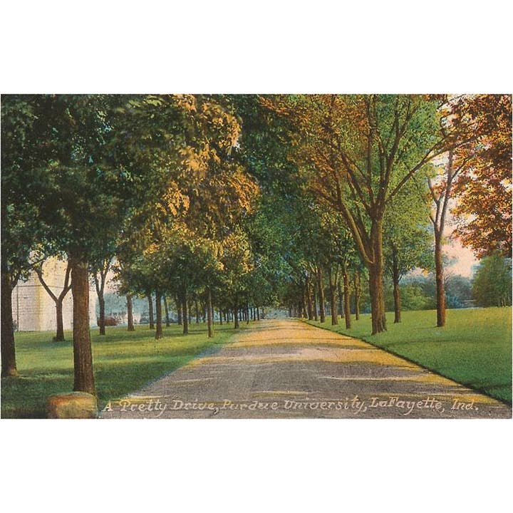 Konsttryck IN-167 Purdue University, Lafayette för wholesale av Found Image Press