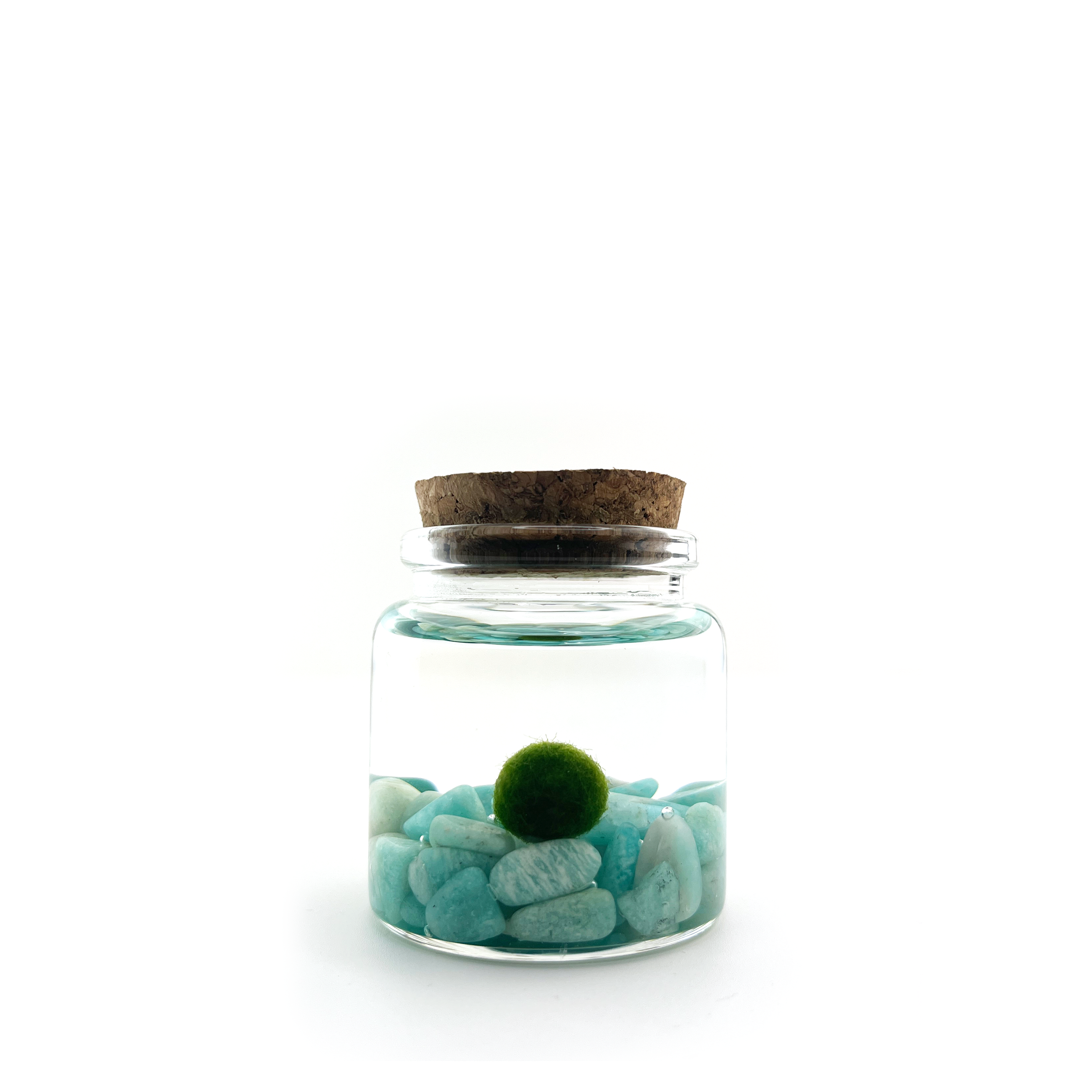 Moss Amigos | Moss Ball Terrariums - Wholesale Live Plant - Small Marimo Moss Ball Terrarium with Amazonite Gemstone1