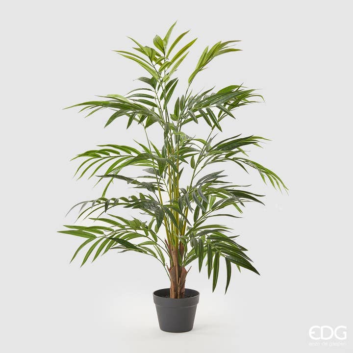 CHIQUE ARECA PALM MET VAAS voor wholesale door edg