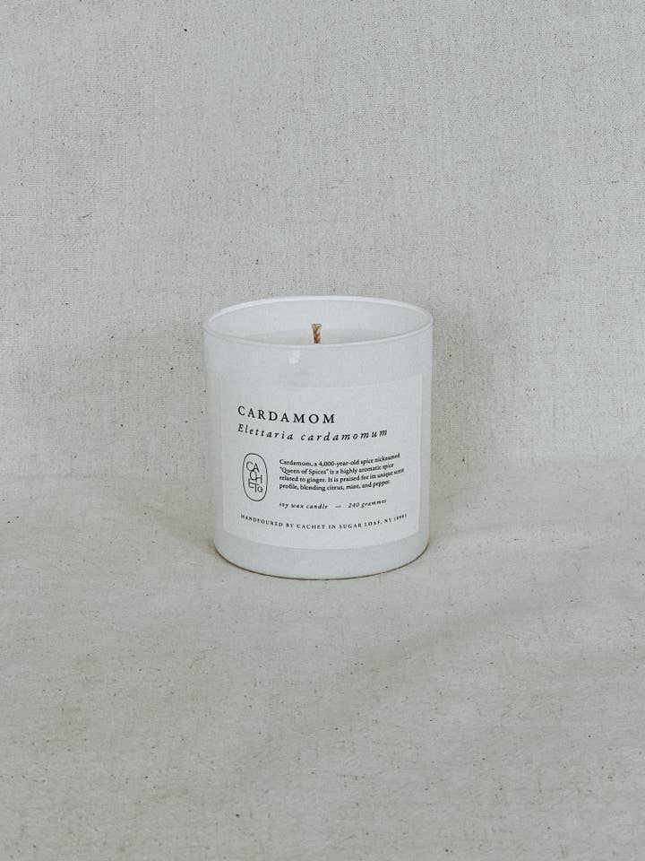 Cardamom Herbalist Candle for wholesale by Cachet
