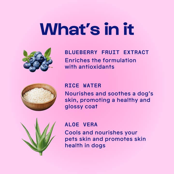 DIRTY DOG BEAUTY CLUB - Wholesale Pet Cleaning Supplies - FURBOOST CLEANSER