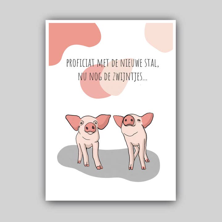 Novo estábulo por atacado de Studio Raquelle