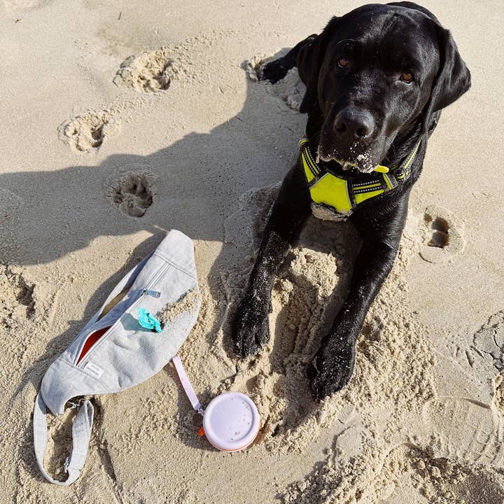 Walking Paws Boutique - Wholesale Pet Treat Pouch - Cat/Dog - Small silicone waterproof dog treat pouch, attach to leash