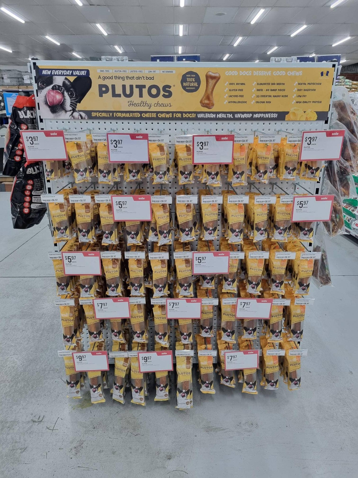 PLUTOS CHEWS – Großhandel Leckerlis – Hund – PLUTOSPETFOODS S.A. Hundezahnpflege-Kauartikel mit Käse- und Entengeschmack M (20 Stück)8