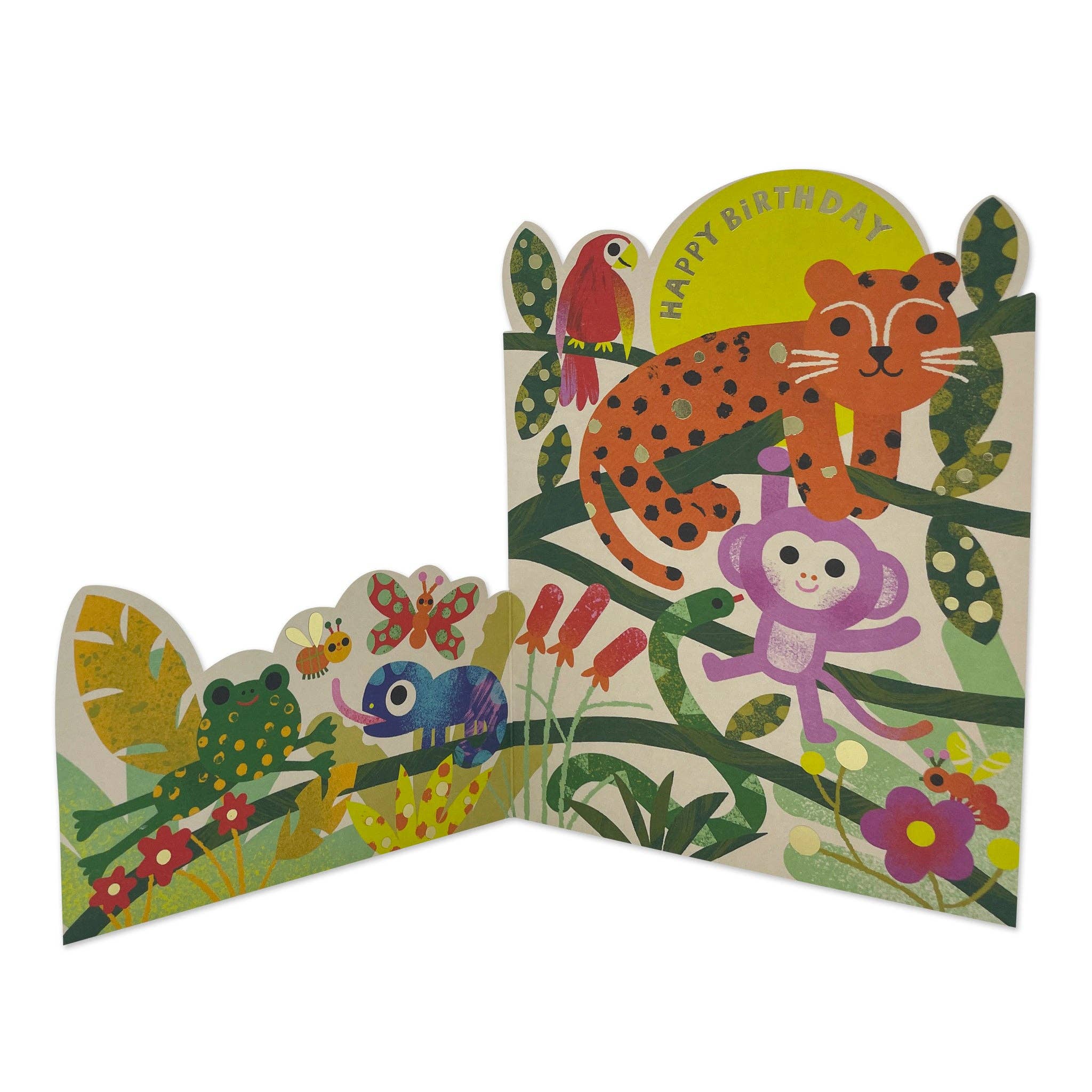 Raspberry Blossom – wholesale Birthday card – Happy Birthday - Have a wild day (FAN20)2