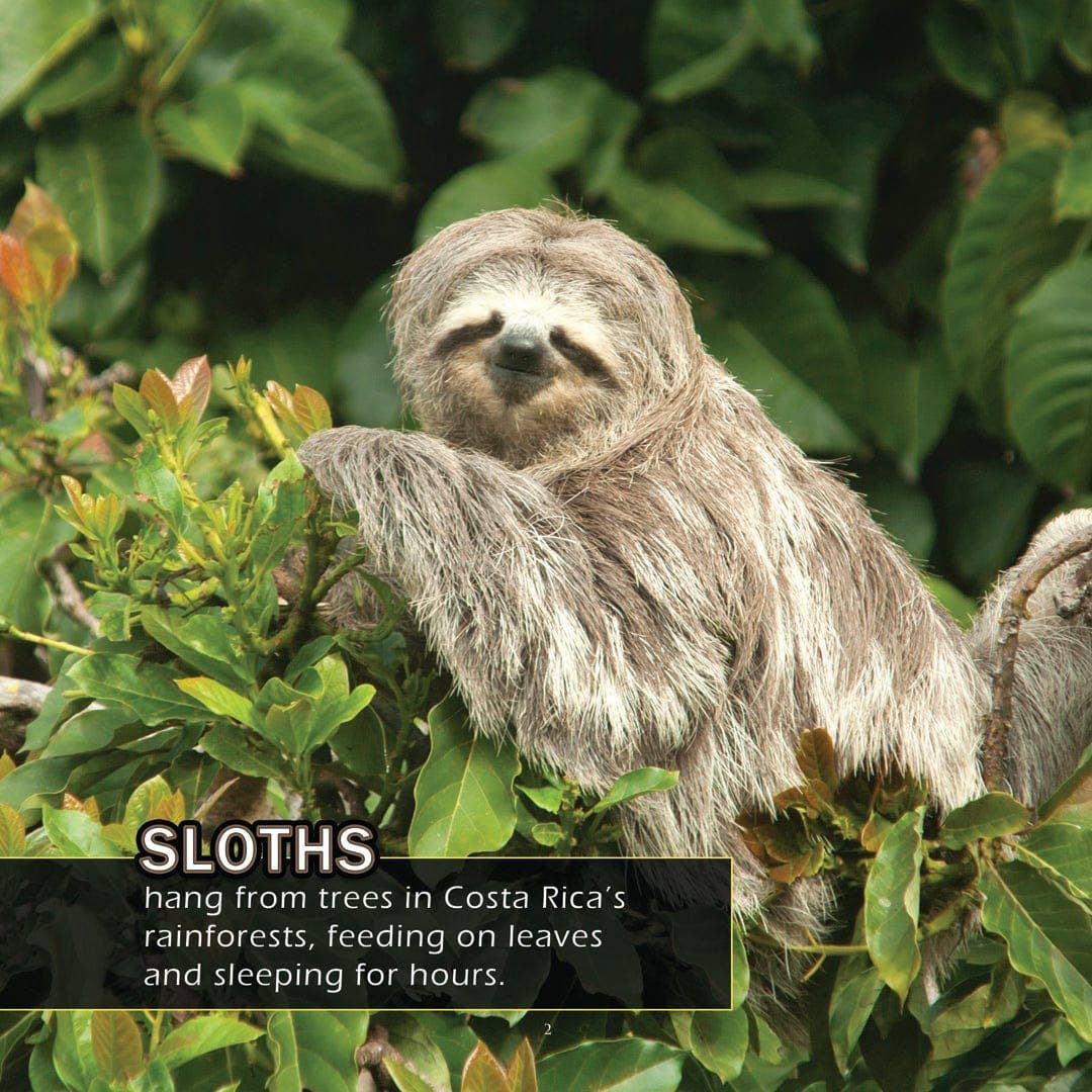 My Incredible World - Vente Livre sur la nature et les activités de plein air - Animaux du Costa Rica ! Un livre d'images de mon incroyable monde pour enfants2