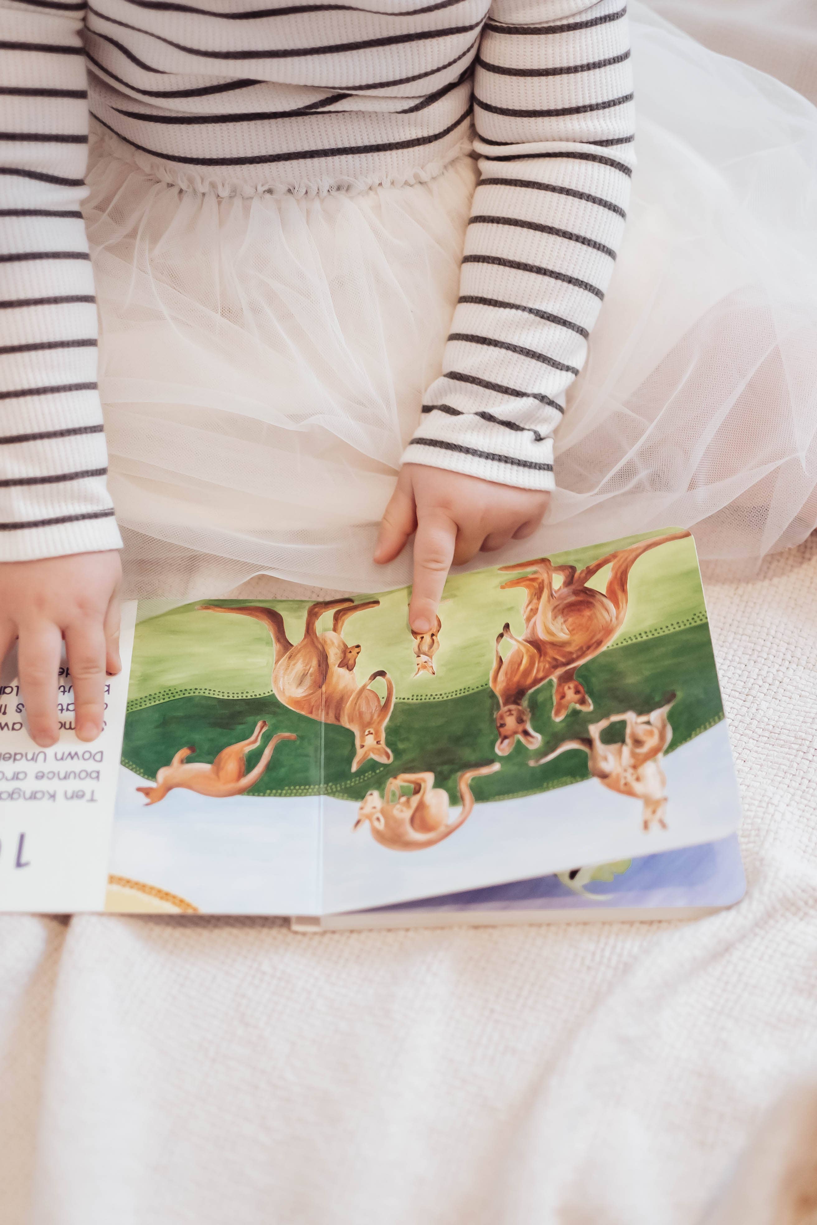 Tall Order - Wholesale Book - Kids - Children's Counting Book Inspired by Animals of Australia2