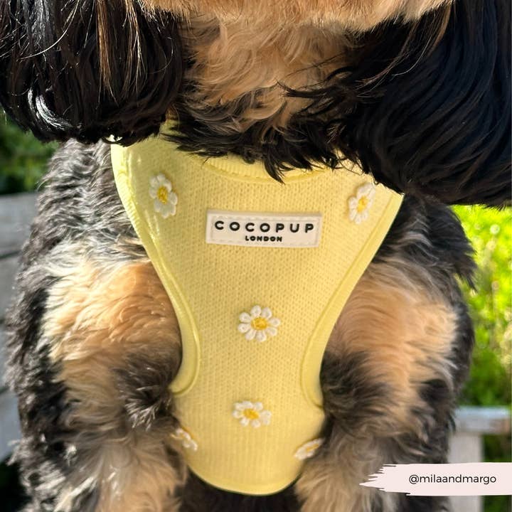 Cocopup London - Wholesale Pet Harness - Dog - Buttercup Pup Adjustable Neck HARNESS14