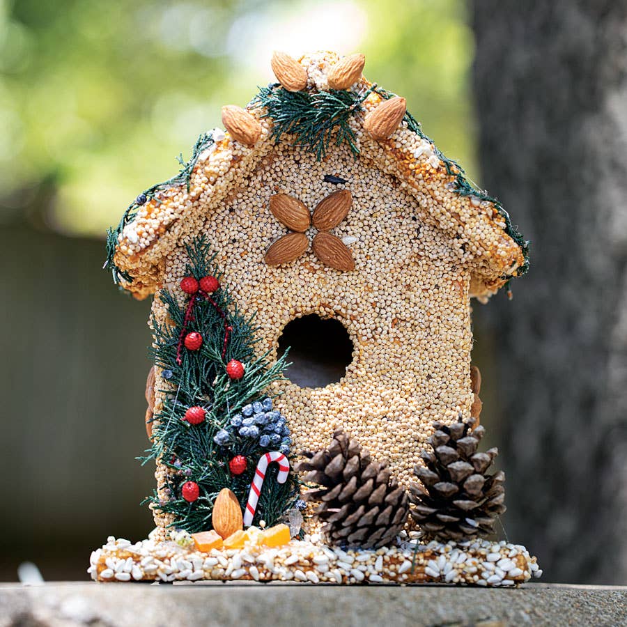 Mr Bird - Wholesale Bird House - Juniper B&B2