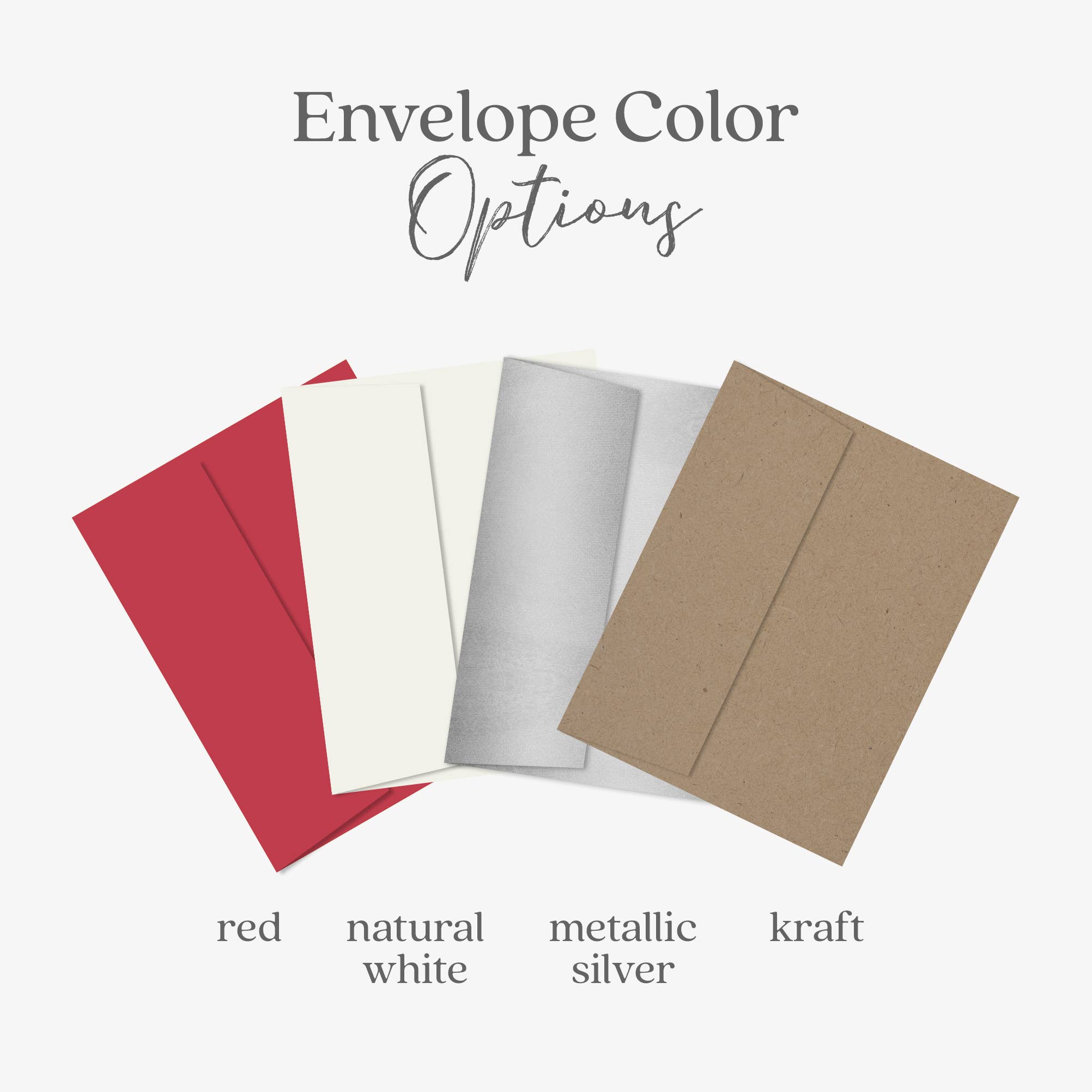 Blue Thistle - Wholesale Christmas Card - Winter Chickadee, Happy Holidays Card, Christmas Birds3