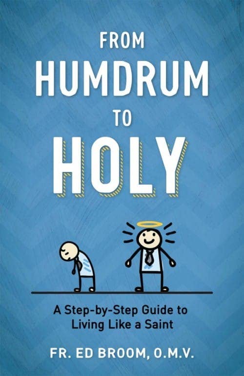 Sophia Institute Press - Wholesale Religion - From Humdrum to Holy0