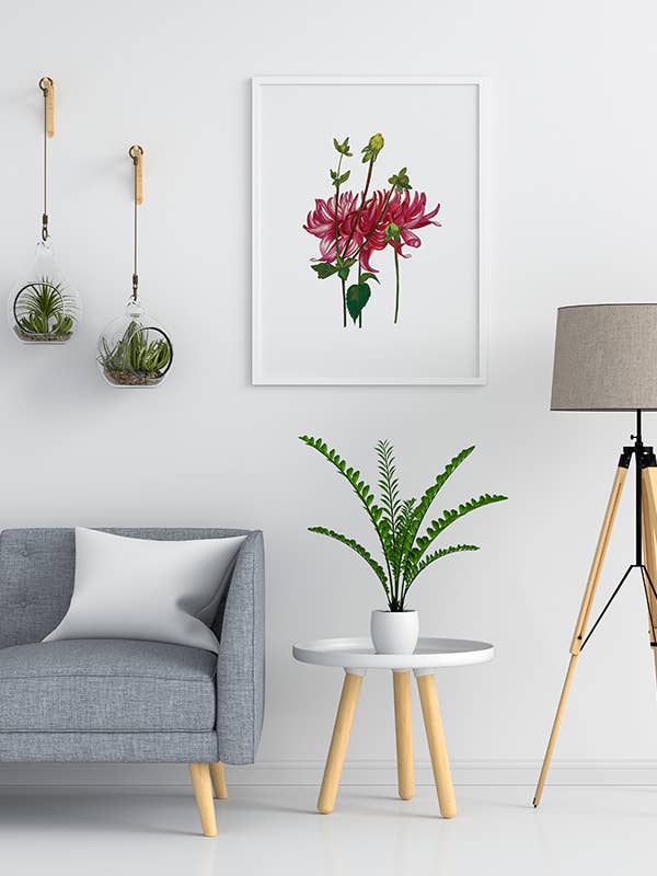 Stampa artistica Curly Dahlias per la vendita all'ingrosso da parte di Shaku