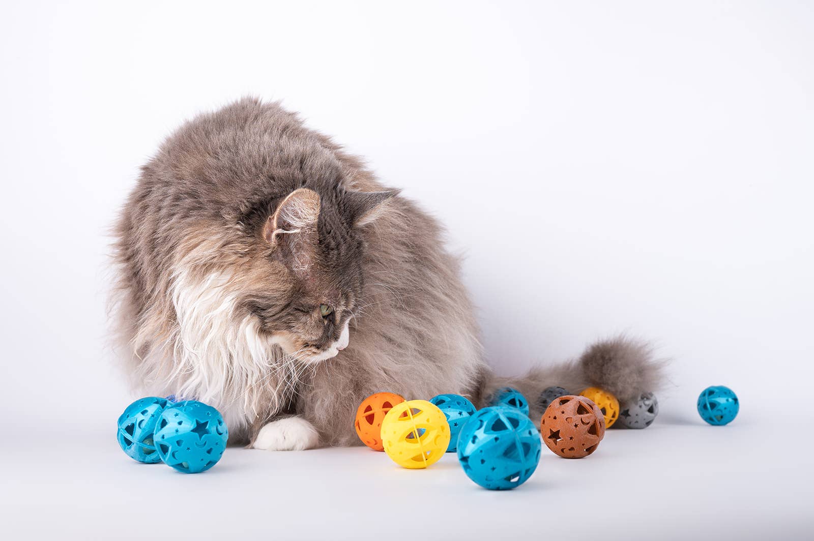 O'Bout de la Plume - Wholesale Pet Toy - Cat - Ball'Stars Cat Ball